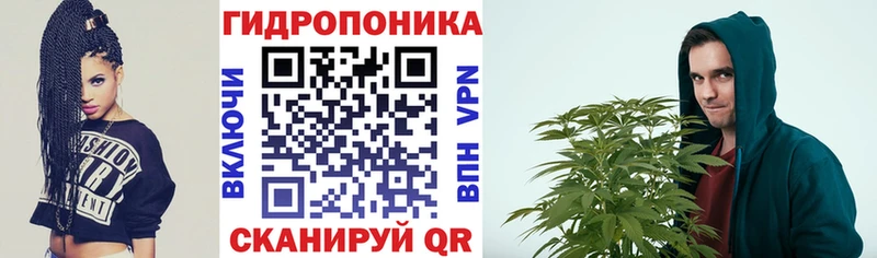 купить наркоту  Челябинск  Конопля конопля 